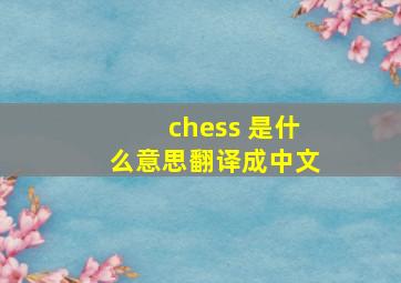 chess 是什么意思翻译成中文